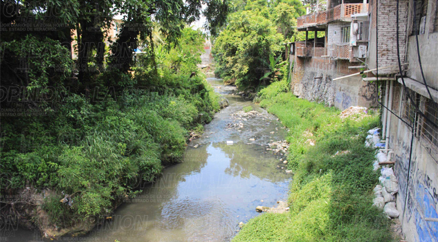 Arroyos de Poza Rica contaminados Arroyos de Poza Rica contaminados
