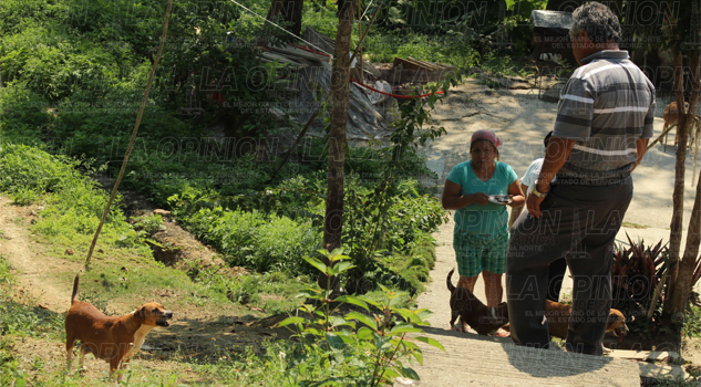 Atacado por manada de perros Atacado por jauría de perros