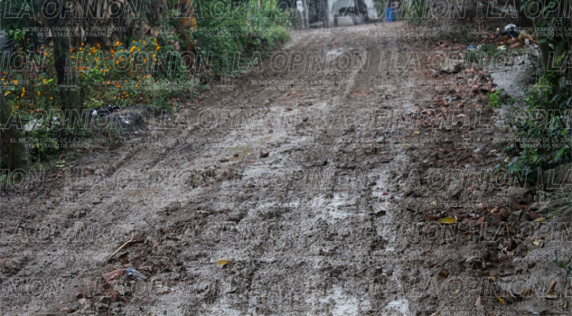 Ignorados por Marcos Romero Ignorados por Marcos Romero