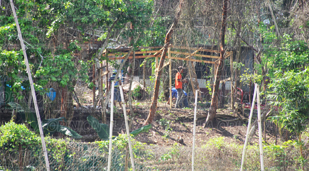 Invaden 40 hectáreas Invaden 40 hectáreas