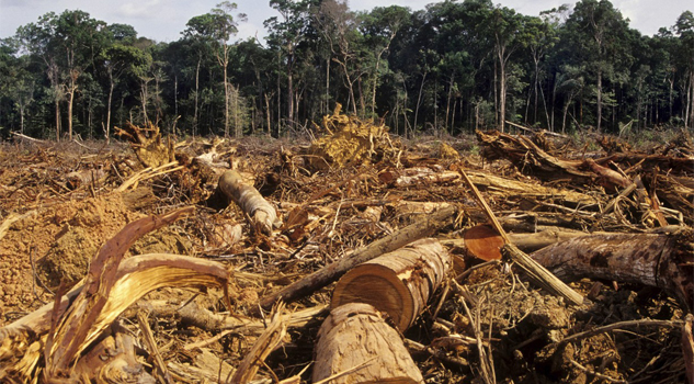 Inversiones peligrosas Inversiones peligrosas