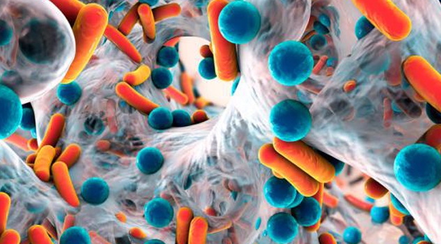 Las superbacterias más letales para los humanos Las superbacterias más letales para los humanos