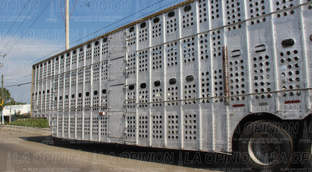 Parados, más de mil camiones de carga Parados, más de mil camiones de carga