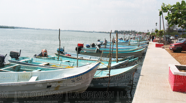Pescadores claman subsidios Pescadores claman subsidios