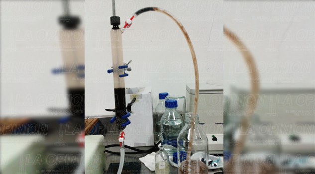 Recuperan petróleo con microorganismos Recuperan petróleo con microorganismos