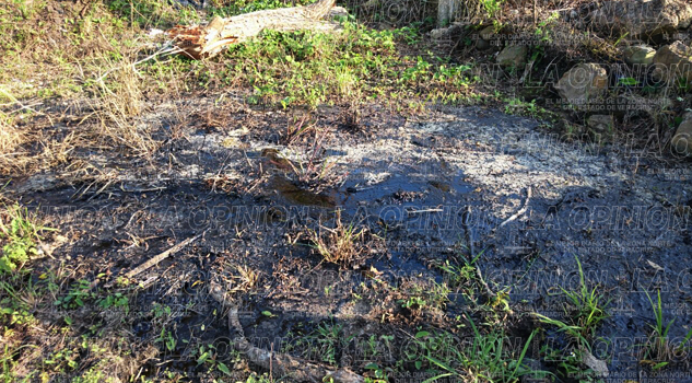 Se agudiza pugna ejidatarios-Pemex Se agudiza pugna ejidatarios-Pemex