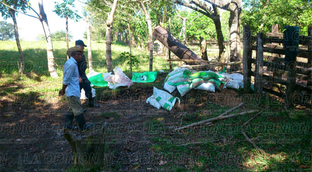 Se roban 15 semovientes Se roban se llevaron 15 semovientes