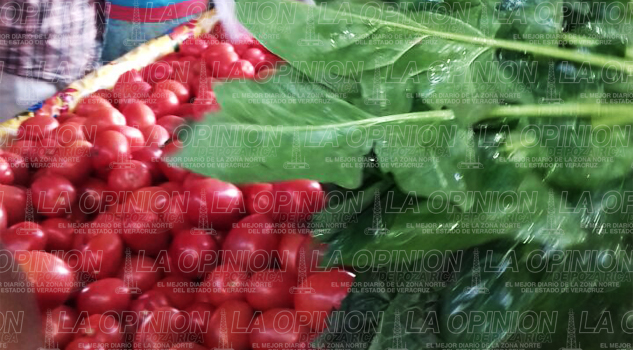 Sorprende baja de precio de tomate Sorprende baja de precio de tomate