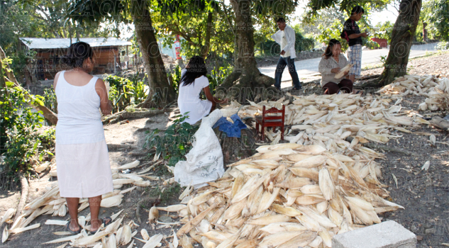 Subsisten con venta de hoja de maíz Subsisten con venta de hoja de maíz
