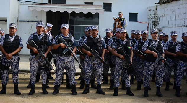 Sí viene la Gendarmería a Veracruz Sí viene la Gendarmería a Veracruz
