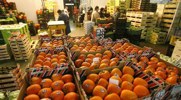 Tres puntos para que el sector agroalimentario disminuya dependencia de EU Tres puntos para que el sector agroalimentario disminuya dependencia de EU