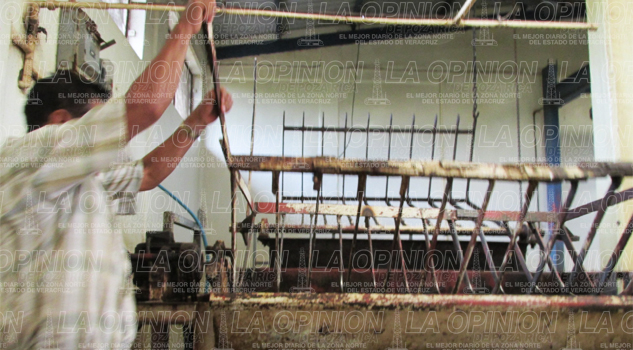 Urge modernizar el rastro Urge modernizar el rastro