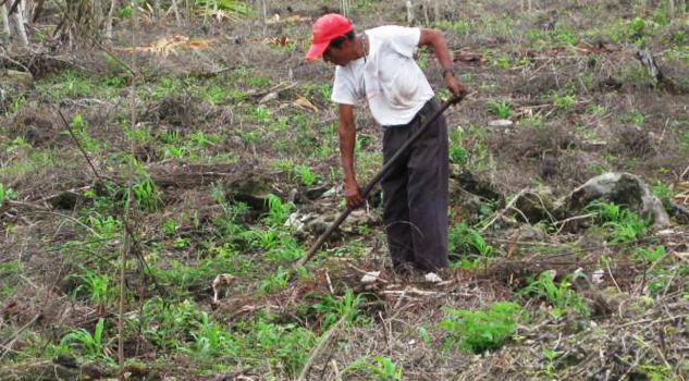 Urge plan ambicioso en el agro Urge plan ambicioso en el agro