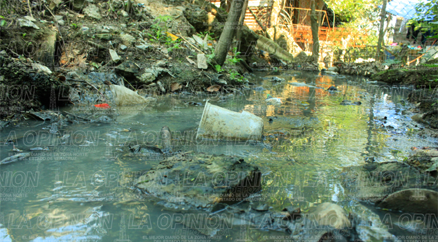 Viven entre aguas negras Viven entre aguas negras