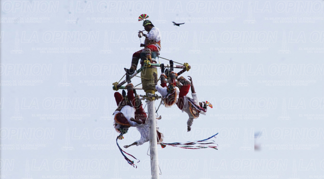 Vuelan por el mundo Vuelan por el mundo