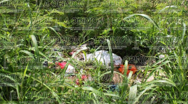Abundan basureros clandestinos Abundan basureros clandestinos