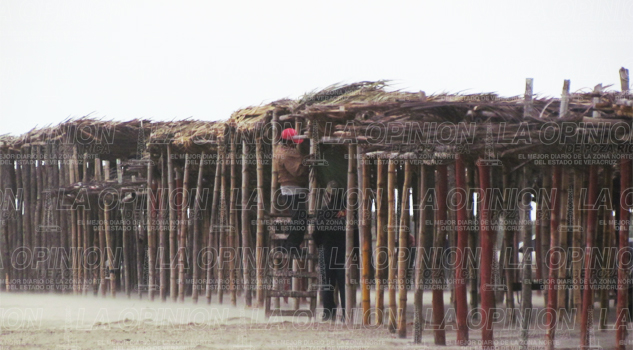 Alerta por surada y fuerte marejada Alerta por surada y fuerte marejada