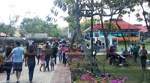 Asistencia récord; miles de visitantes en Cumbre Tajín Asistencia récord; miles de visitantes en Cumbre Tajín