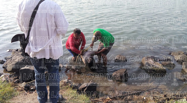 Cadáver de mujer flotaba en el río de Tuxpan Los hechos se registraron en el bulevar Demetrio Ruiz Malerva esquina con la avenida Aquiles Serdán