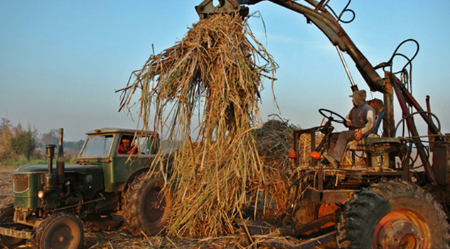Cancela México permisos de exportación de azúcar a EU Cancela México permisos de exportación de azúcar a EU