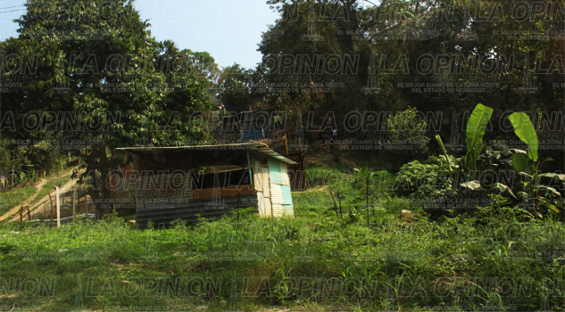 Darán seguimiento a las invasiones Darán seguimiento a las invasiones