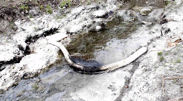 Derrame de crudo afecta parcelas Derrame de crudo afecta parcelas