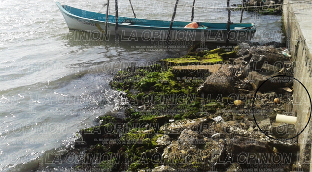 Descargas sanitarias amenazan laguna de Tamiahua Descargas sanitarias amenazan laguna de Tamiahua