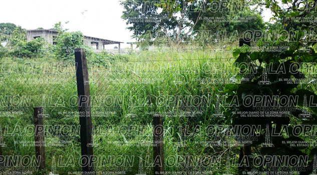 Exhortan a limpiar los solares Exhortan a limpiar los solares