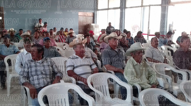 Exigen freno a robo de ganado Exigen freno a robo de ganado