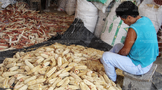 Gestionan apoyos, buscan beneficiar a productores Gestionan apoyos, buscan beneficiar a productores