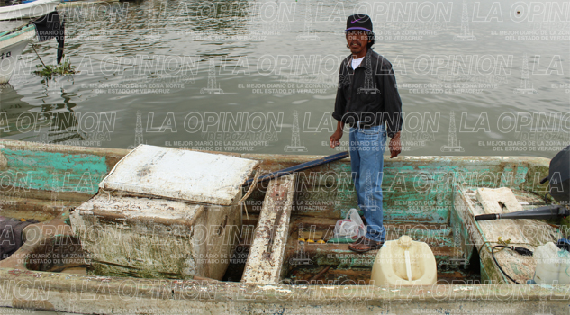 Inicia desove de tortugas marinas Inicia desove de tortugas marinas