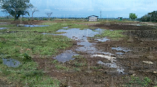 Jugueras acumulan quejas Jugueras acumulan quejas