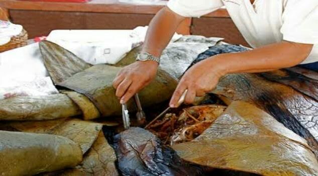 AUDIO: Más de 200 intoxicados con barbacoa en un mitin