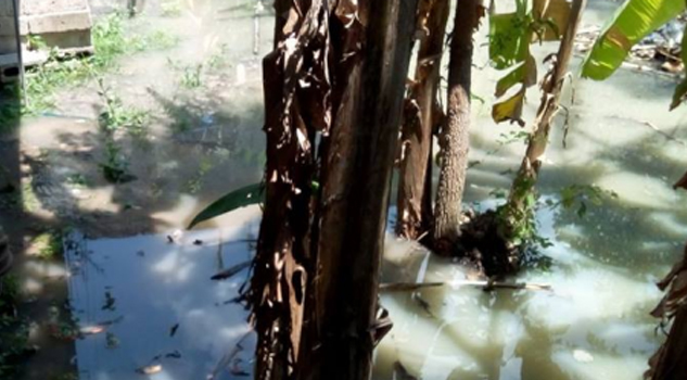 Alarma en la colonia Nueva Tenoctitlan por fuga de aguas negras Alarma en la colonia Nueva Tenoctitlan por fuga de aguas negras