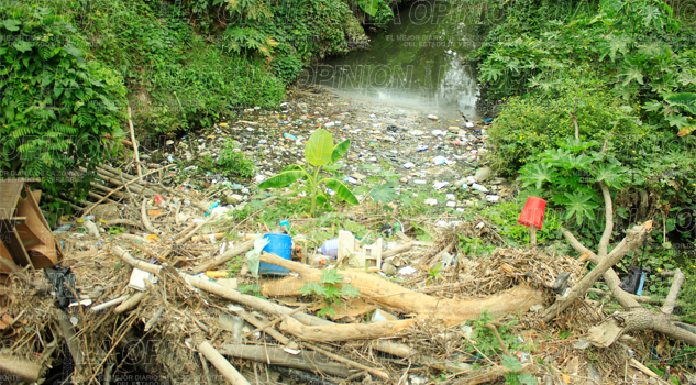 Arroyo del Hueleque taponado Arroyo del Hueleque taponado