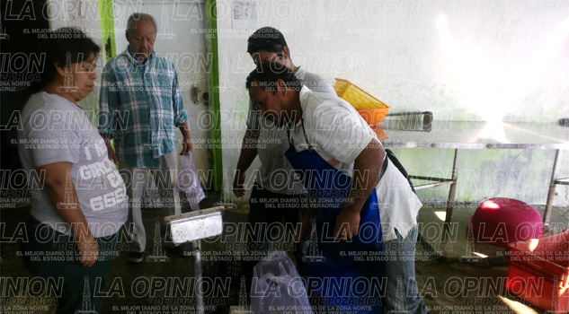 Compran pescado y marisco en Tamaulipas Compran pescado y marisco en Tamaulipas
