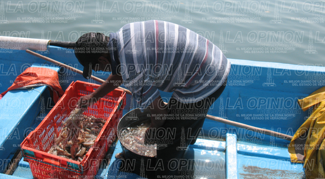 Escasea pescado y marisco Escasea pescado y marisco