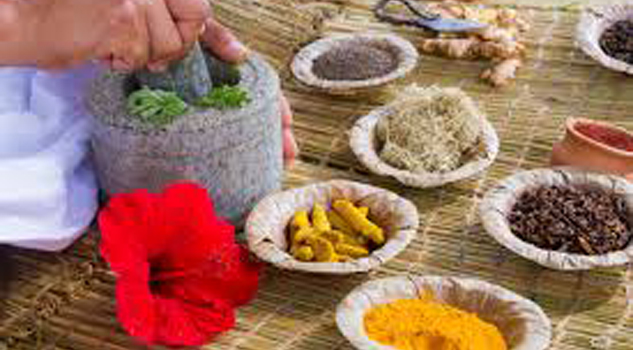 Familias recurren a la medicina tradicional Familias recurren a la medicina tradicional