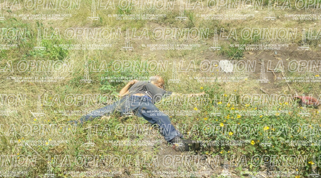 Hallado muerto en la carretera