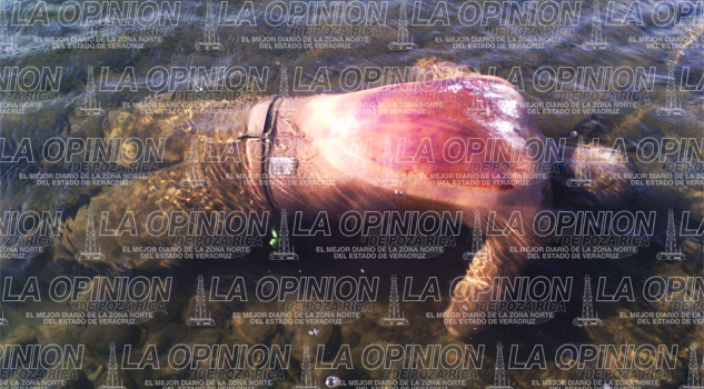 Hallan cuerpo flotando en aguas del río Necaxa Hallan cuerpo flotando en aguas del río Necaxa