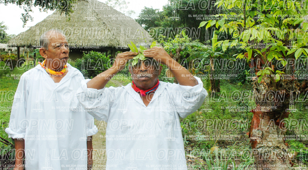 Indígenas sin acceso a la salud Indígenas sin acceso a la salud