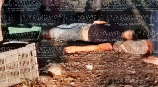 Muerto de certero balazo Muerto de certero balazo