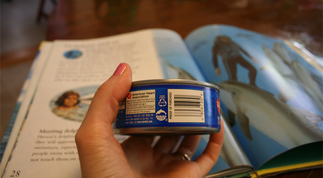 México podrá sancionar a EU tras ganar disputa por etiquetado del atún México podrá sancionar a EU tras ganar disputa por etiquetado del atún