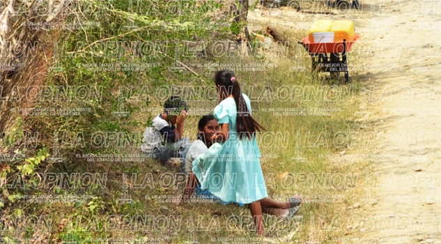 Sufren la falta de agua Sufren la falta de agua