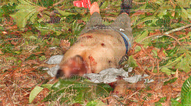 Trágico accidente en la Tlapacoyan-Martínez Trágico accidente en la Tlapacoyan-Martínez