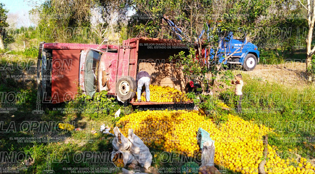Vuelca camioneta cargada de naranjas presuntamente robadas