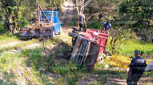 Vuelca camioneta cargada de naranjas presuntamente robadas Vuelca camioneta cargada de naranjas presuntamente robadas