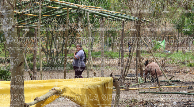 Ángeles invaden terreno Ángeles invaden terreno
