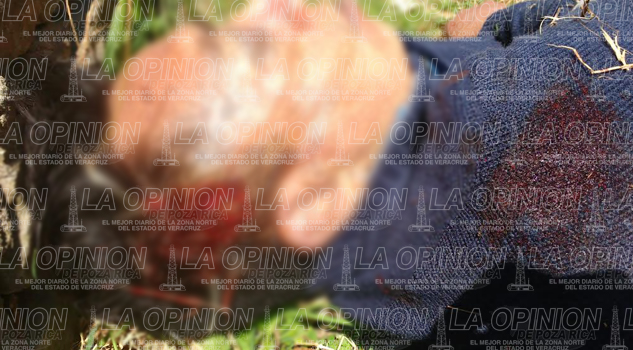 Fletero asesinado a balazos A balazos matan a fletero