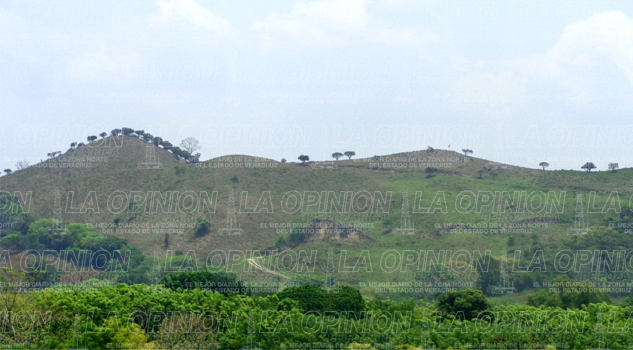 Acaban con los bosques de la Sierra del Totonacapan Acaban con los bosques de la Sierra del Totonacapan